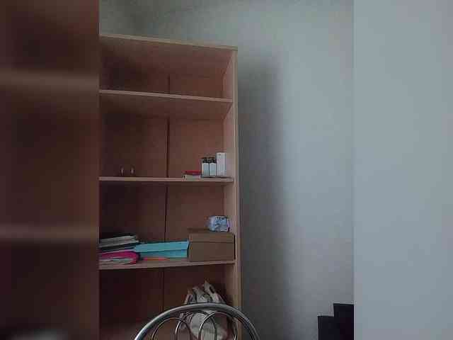 Rshsujdensay webcam