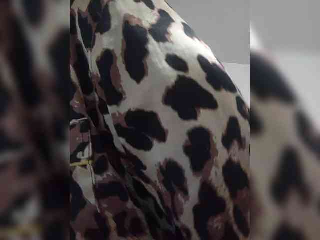 Rtewevhgwgvw webcam