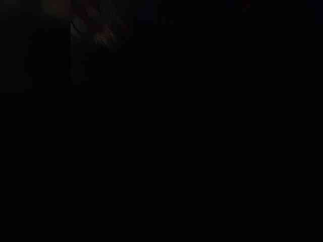 Rtewevhgwgvw webcam