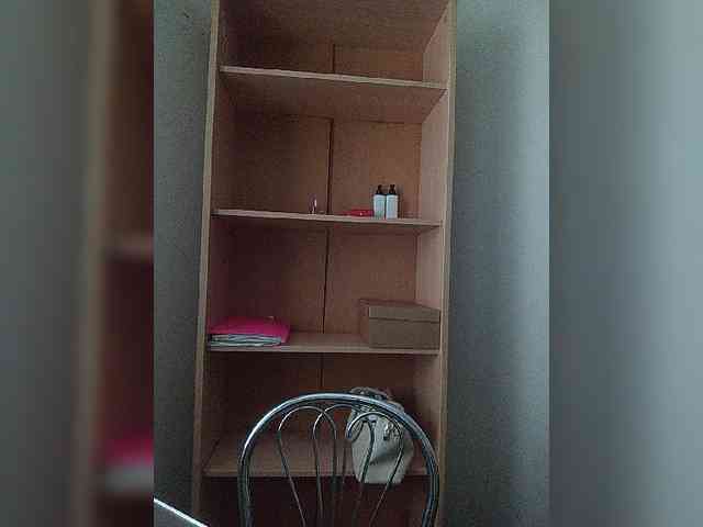 Rshsujdensay webcam