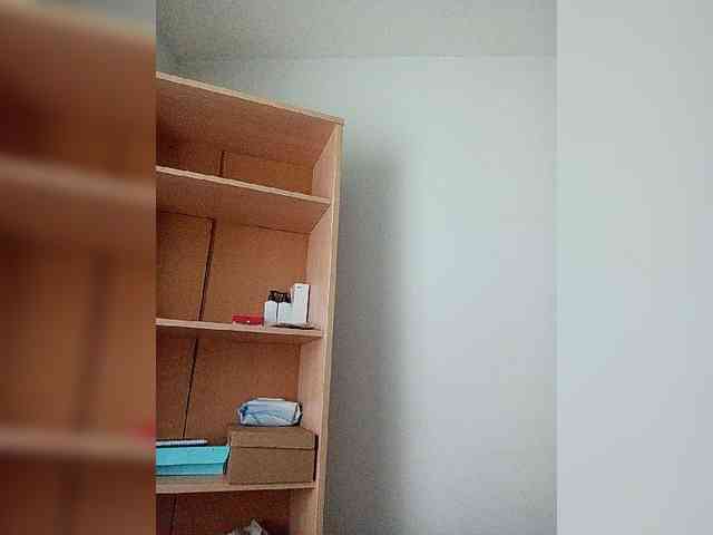 Rshsujdensay webcam