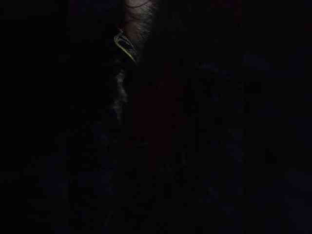 Rtewevhgwgvw webcam