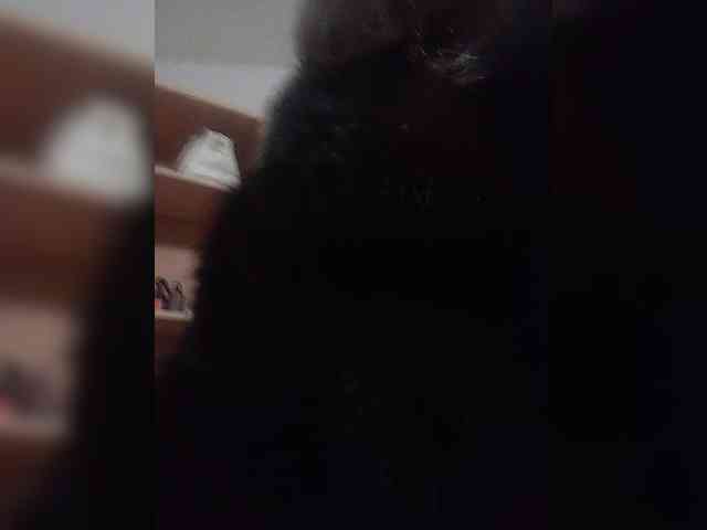 Rtewevhgwgvw webcam