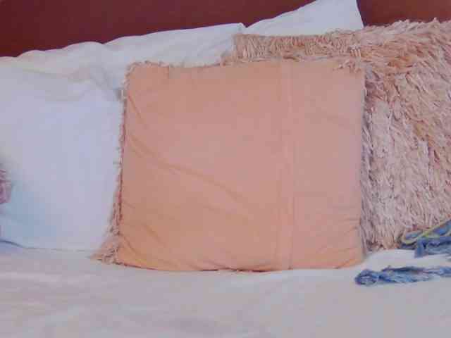 CharlotteDilucca webcam