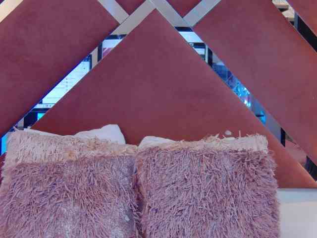 Modelo: CharlotteDilucca