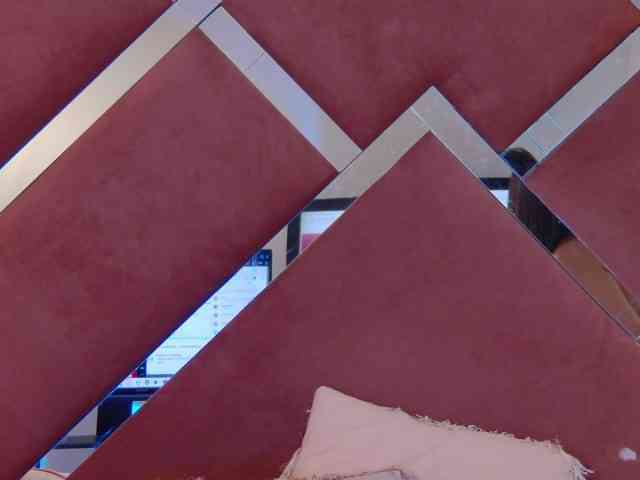 CharlotteDilucca webcam