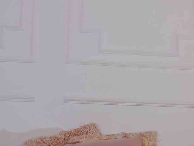 CharlotteDilucca webcam