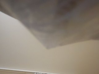 KittyTempreXXX