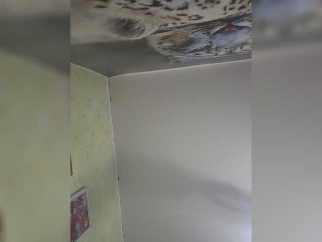 KITTYtempreXXX live cam on BongaCams