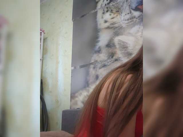 KittyTempreXXX live cam on BongaCams