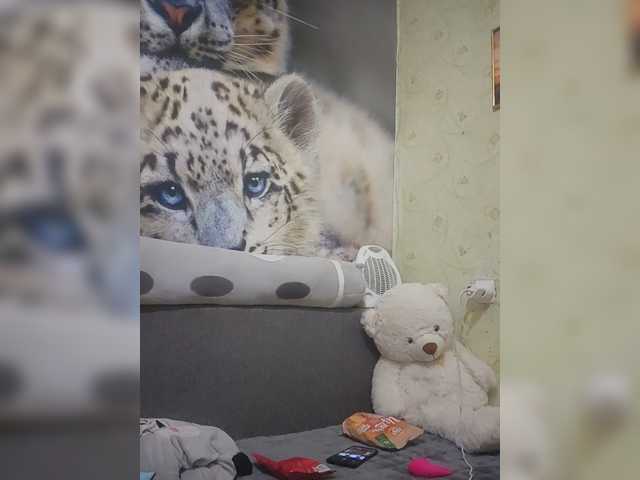 KittyTempreXXX