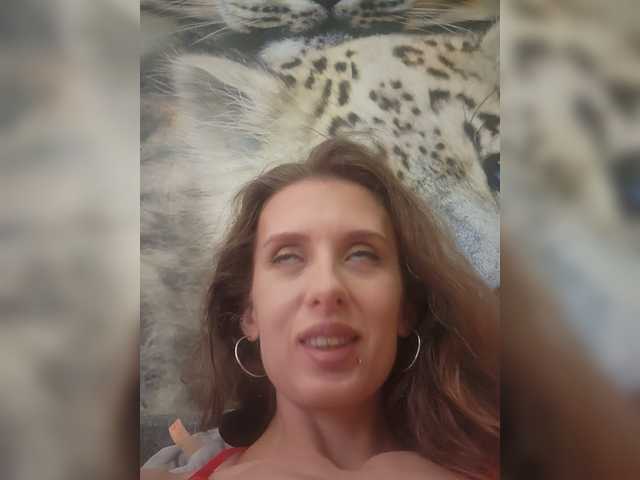 KITTYtempreXXX live cam on BongaCams