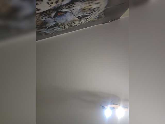 KittyTempreXXX live cam on BongaCams