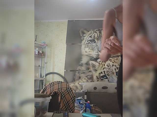 KITTYtempreXXX