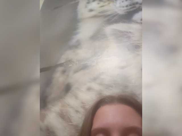 KITTYtempreXXX live cam on BongaCams