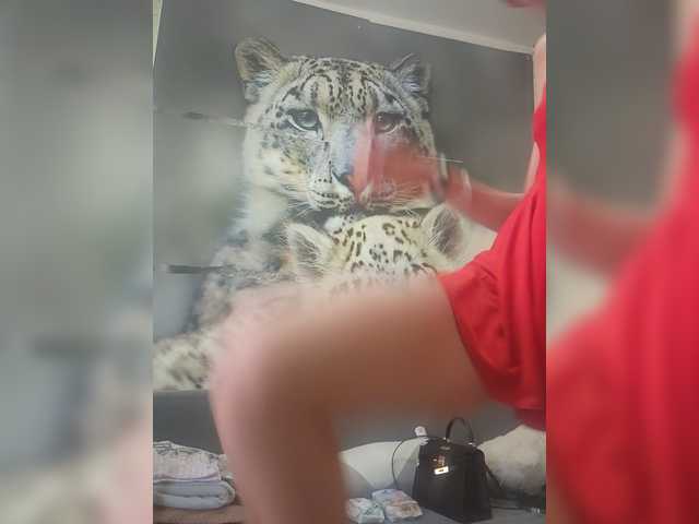 KITTYtempreXXX