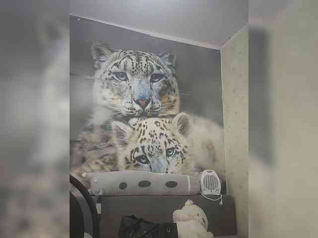 KITTYtempreXXX webcam