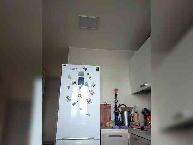 KITTYtempreXXX webcam