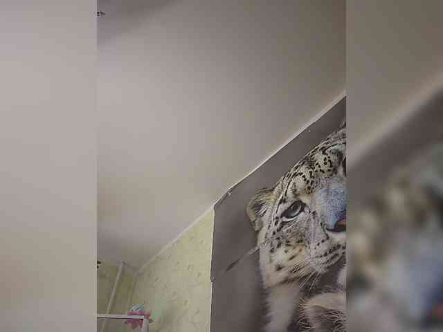 kittytemprexxx's live room
