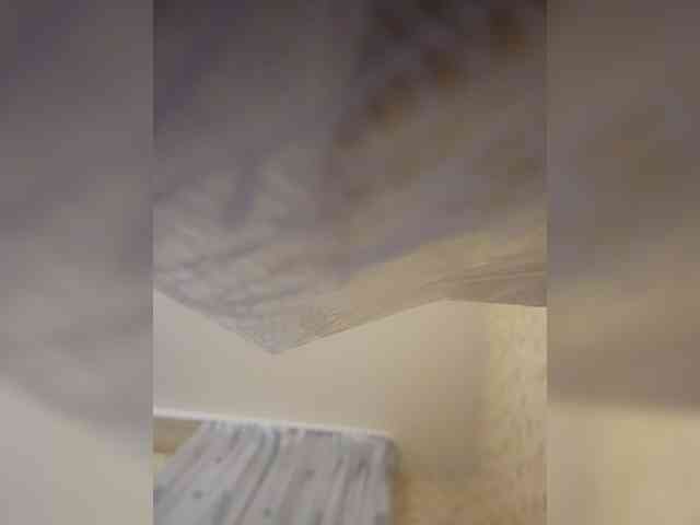 KITTYtempreXXX webcam