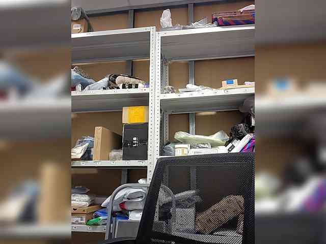 KITTYtempreXXX webcam