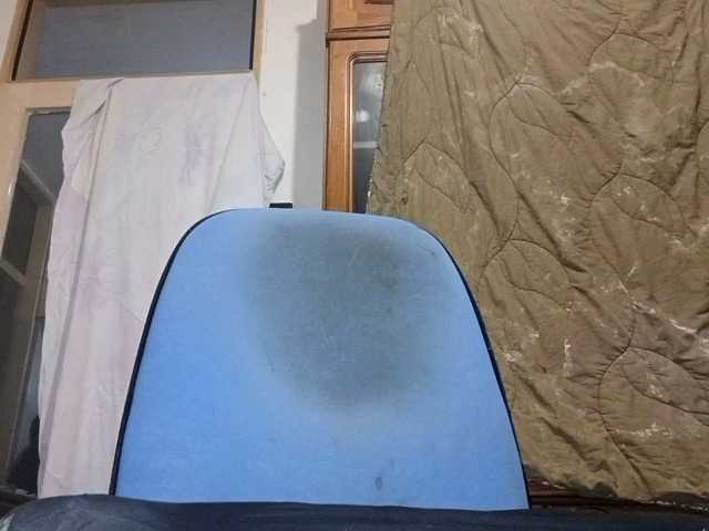WildJoMann live cam