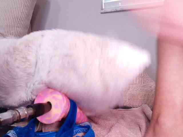 lexibby69 webcam