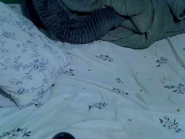 Bubblybooty webcam