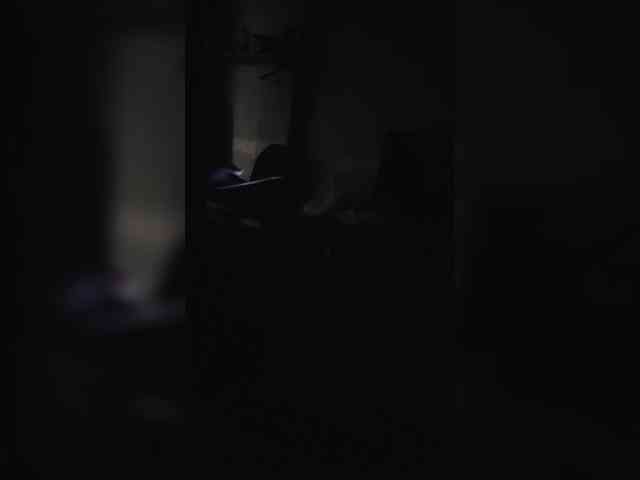 Karinasky webcam
