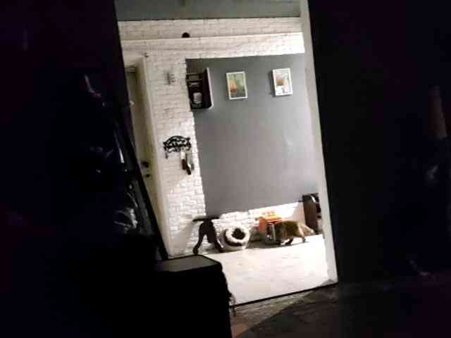 Karinasky webcam