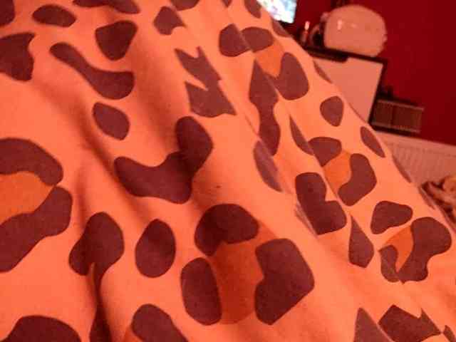 Karinasky webcam