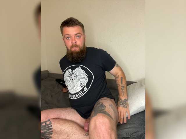 ANNviKING