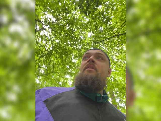 Модель: AnnVIKING