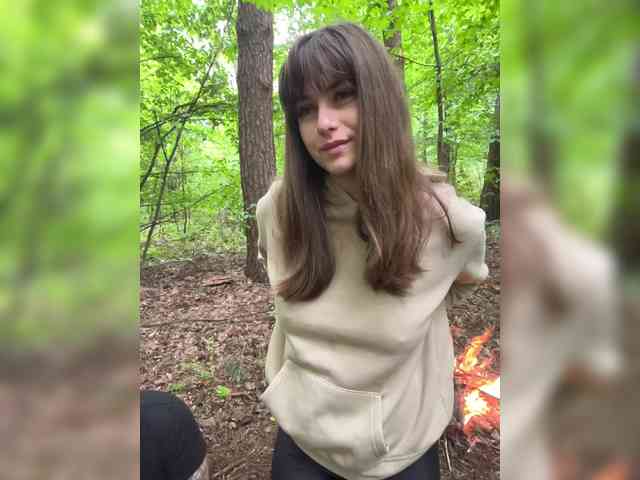 Model: AnnVIKING