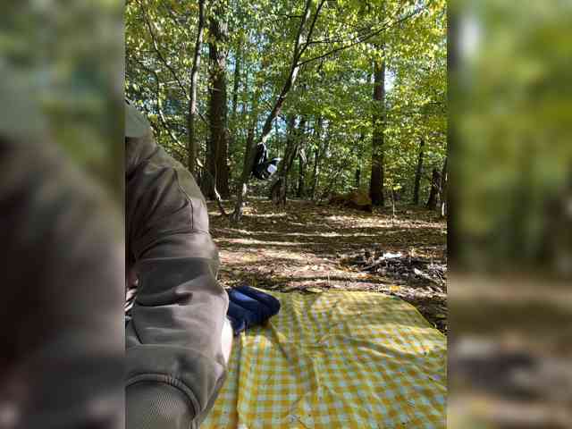 AnnviiKING98