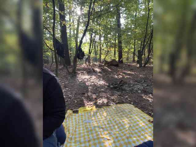 AnnviiKING98