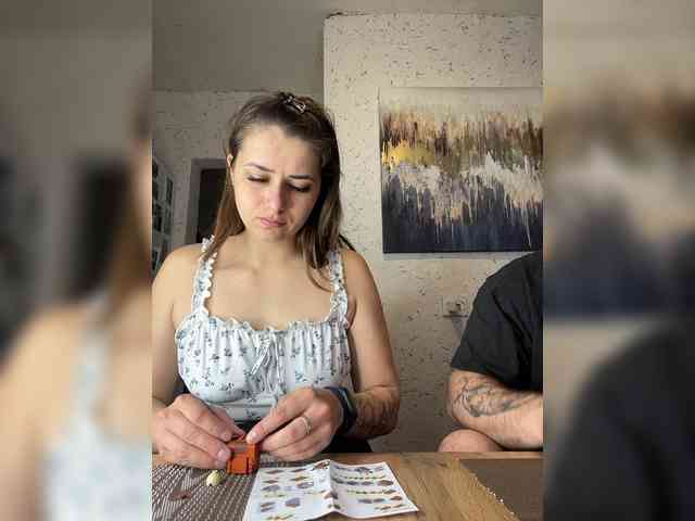 Cherry-VIKING webcam