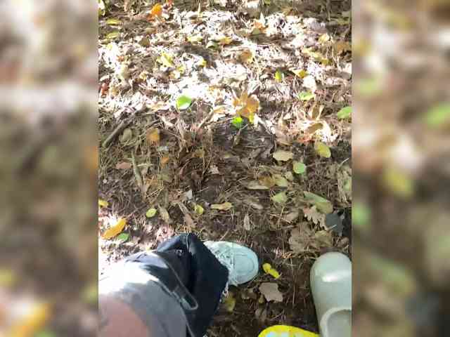 AnnviiKING98
