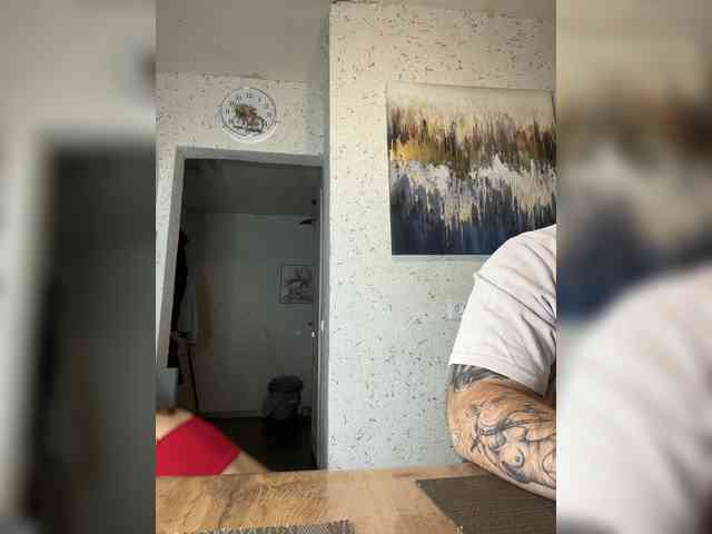 Модель: AnnVIKING