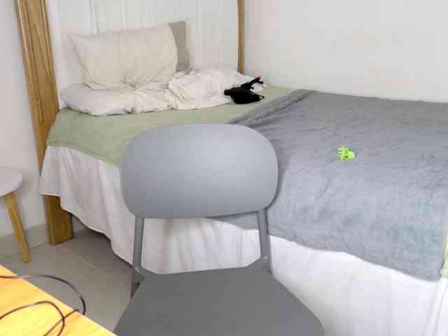 jump-rabbit- Live Webcam on BongaCams