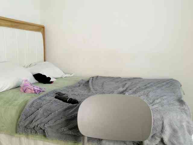jump-rabbit- webcam