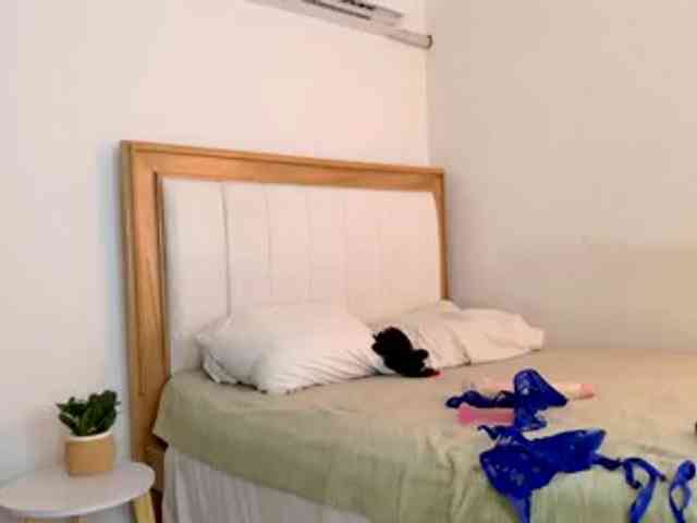 jump-rabbit- webcam