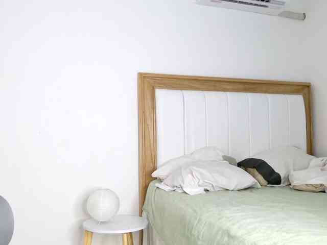 jump-rabbit- webcam