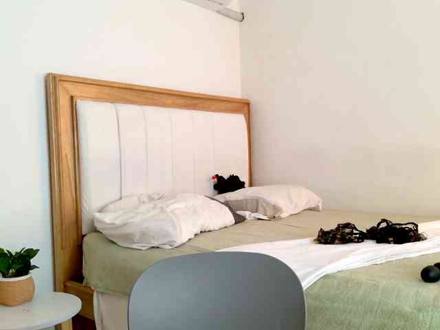 jump-rabbit- webcam