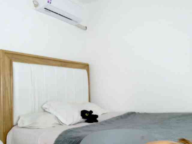 jump-rabbit- Live Webcam on BongaCams