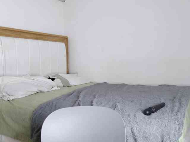 jump-rabbit- webcam