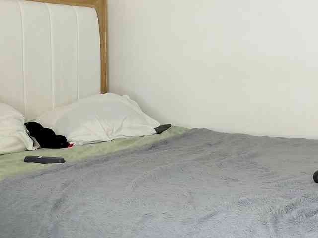 jump-rabbit- webcam