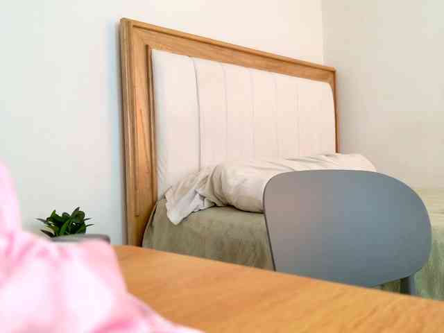 jump-rabbit- webcam