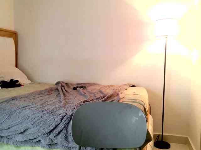 jump-rabbit- webcam