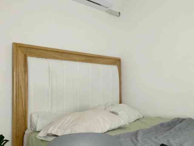 jump-rabbit- webcam